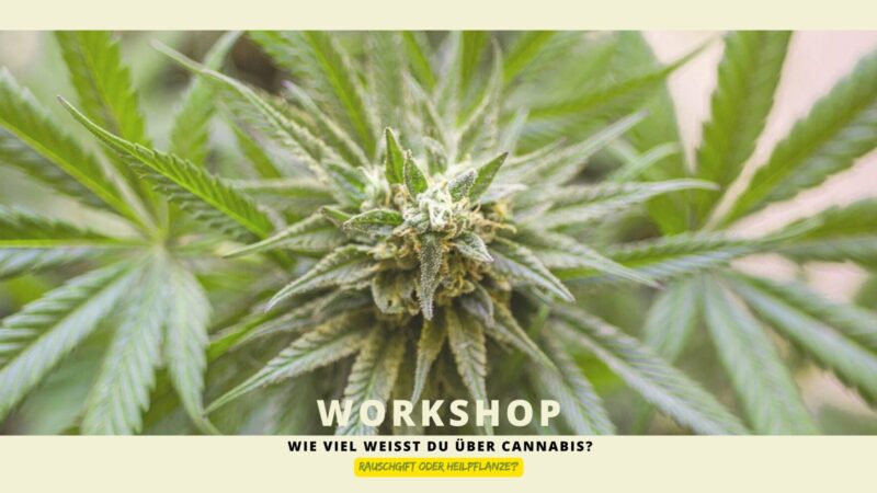 Einladung zum Workshop: „ Cannabis- Mehr als nur ein grünes Blatt?“